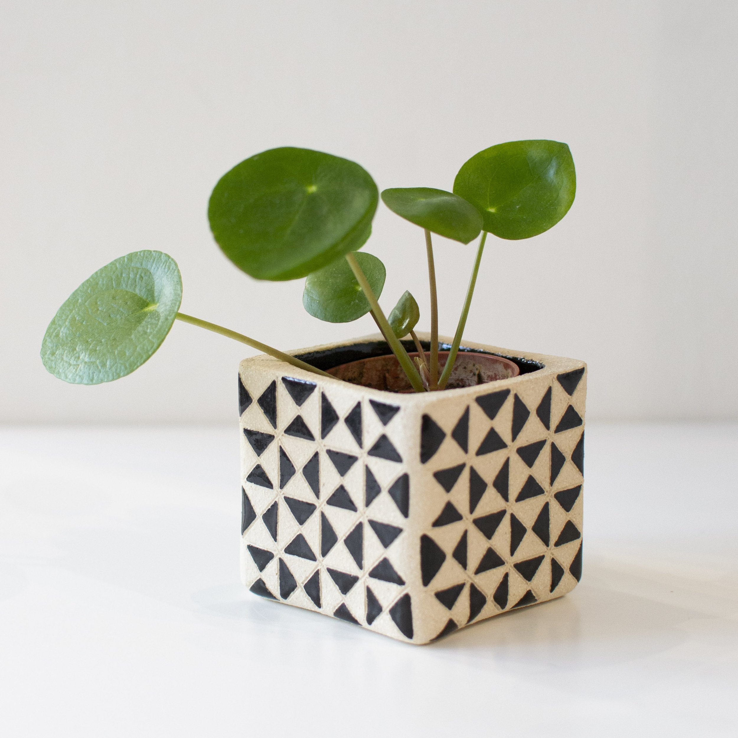 Succulent Planter 1 by Teresa Clay