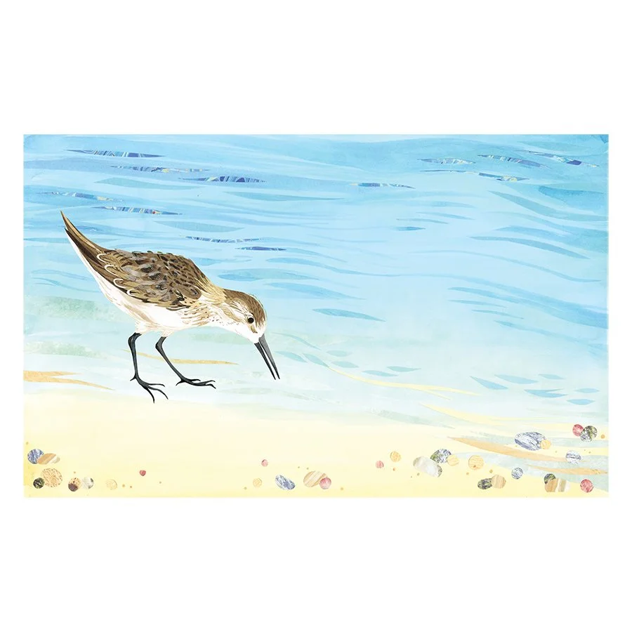 Kate Slater Sandpiper Art copy.jpg