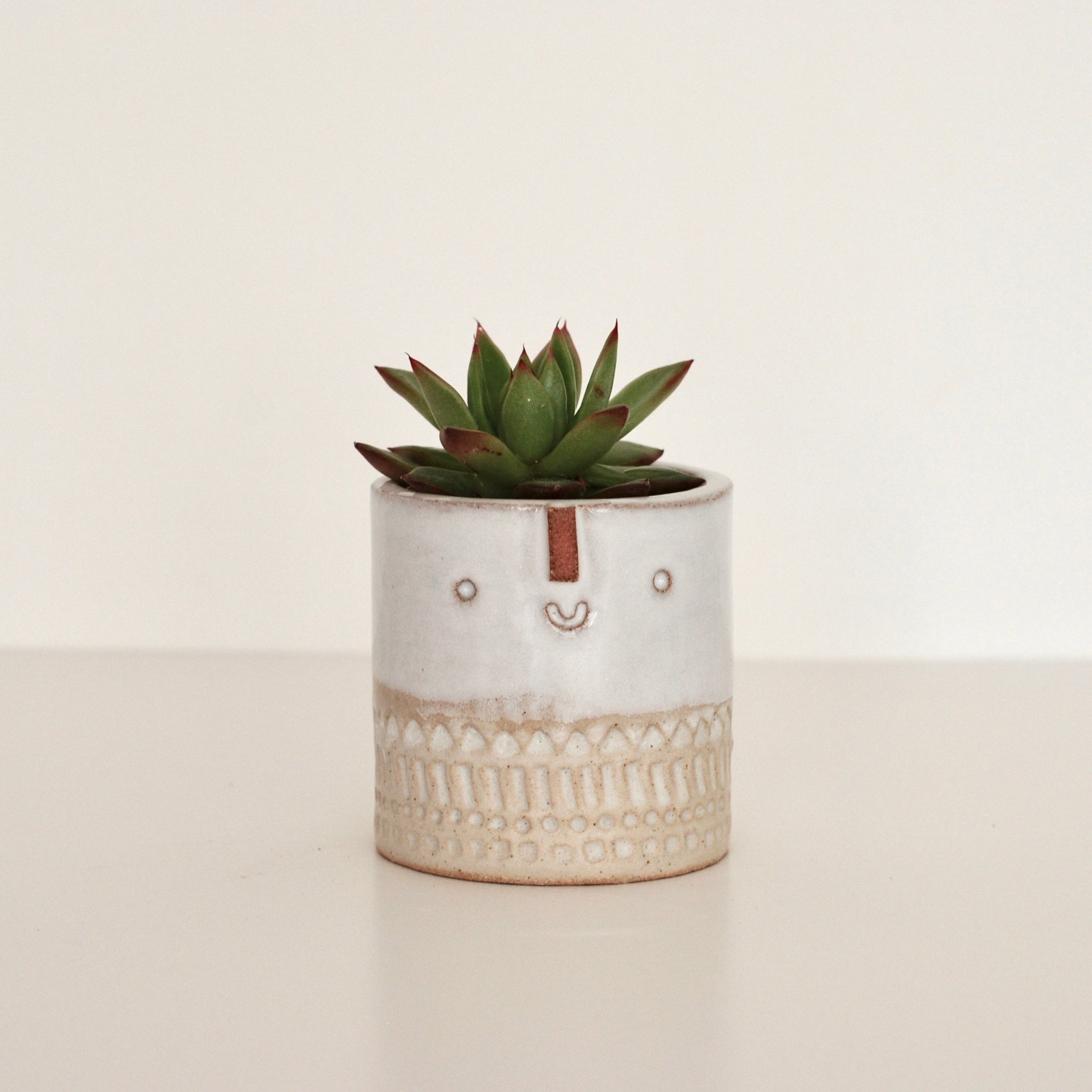 mini pot shiny white.jpg