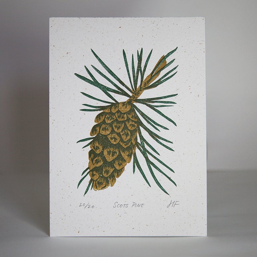Hannah-Farthing-Scots-Pine-Linocut WEB.jpg