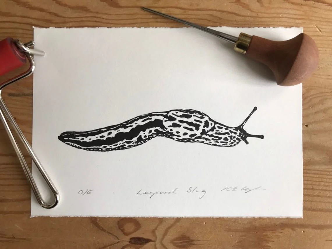 leopard slug.jpg