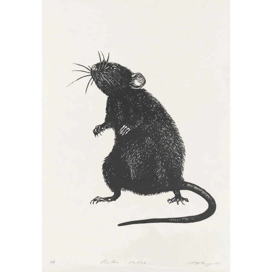Rattus Rattus O/E by The Pepper Press