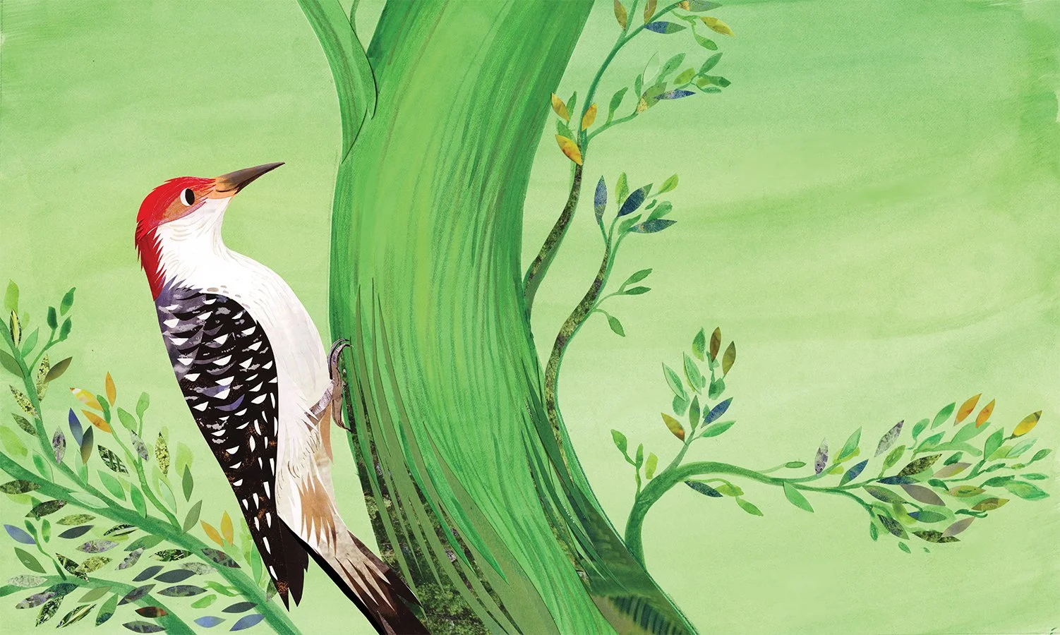 One of the artists currently featured in our window is Illustrator Kate Slater. We're very lucky have a selection of original mixed media pieces from Kate who is know for her children's book illustrations including: Britannica First Big Book of Why (