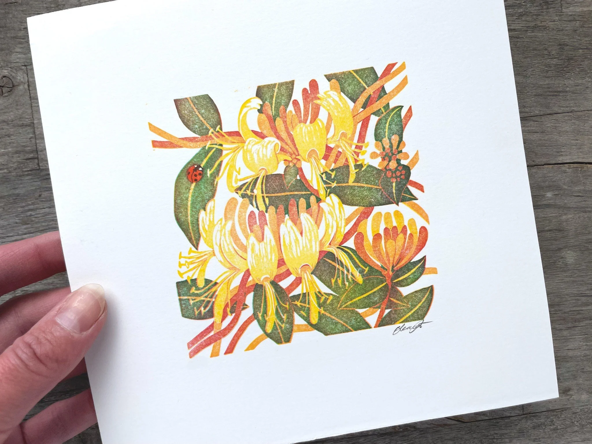 A lovely print for this time of year, Honeysuckle' by Beth Knight is multi block lino print which has a wonderful softness to linework and colour pallet. 

Each colour of this print is created using a different block - we admire the planning and prec
