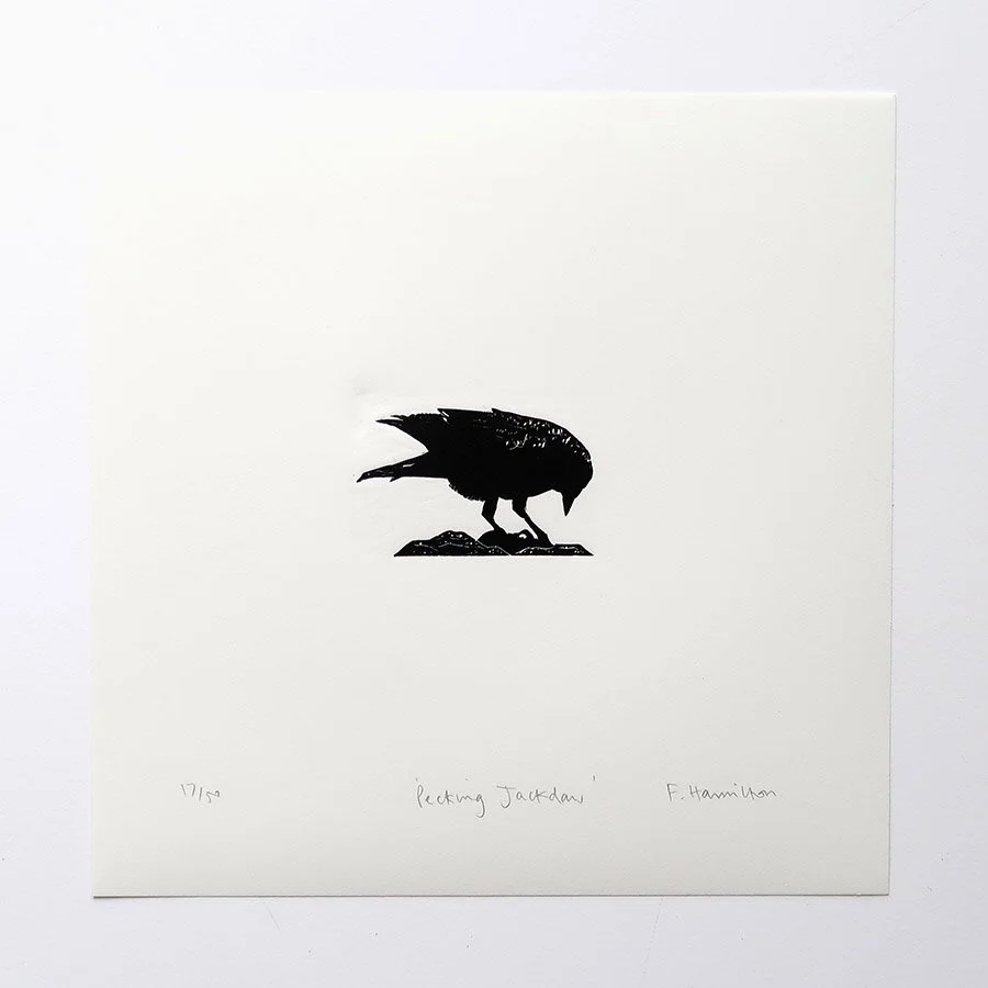 wood jackdaw peck photo copy.jpg