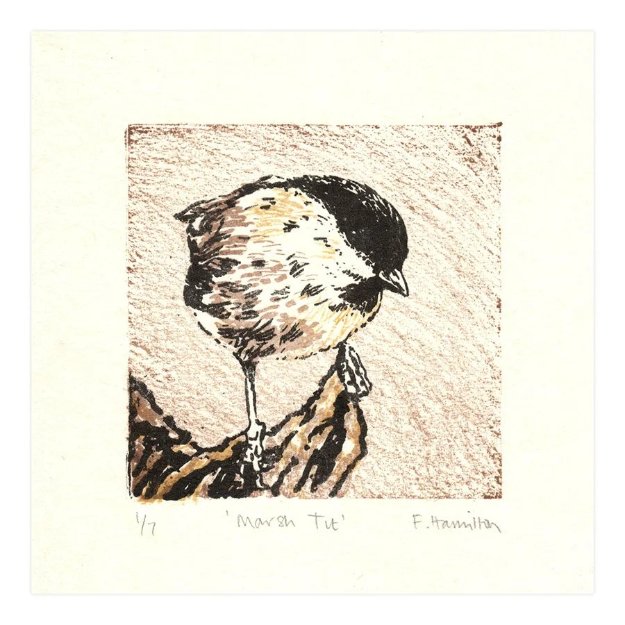 fiona-hamilton-marsh-tit-lithographic-print copy.jpg