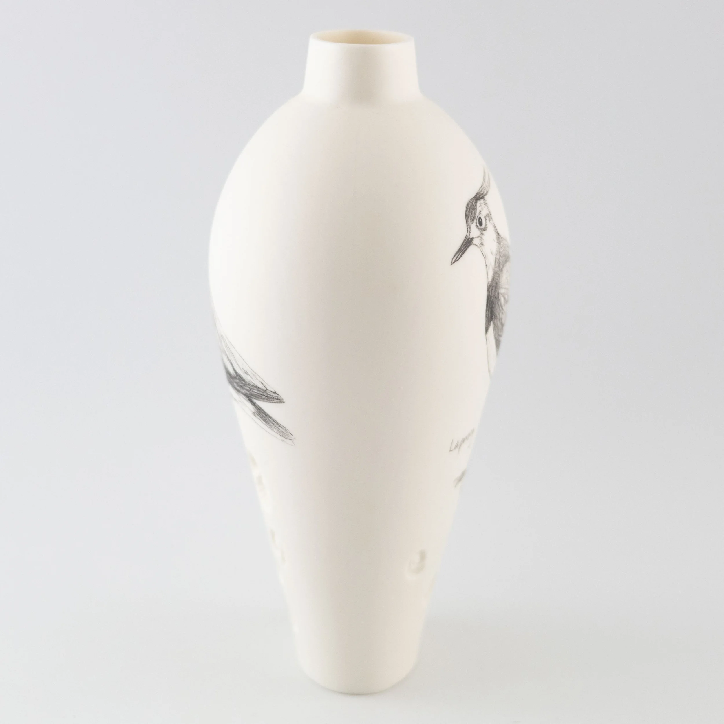 Jean_White_ Jan_26_11.jpg