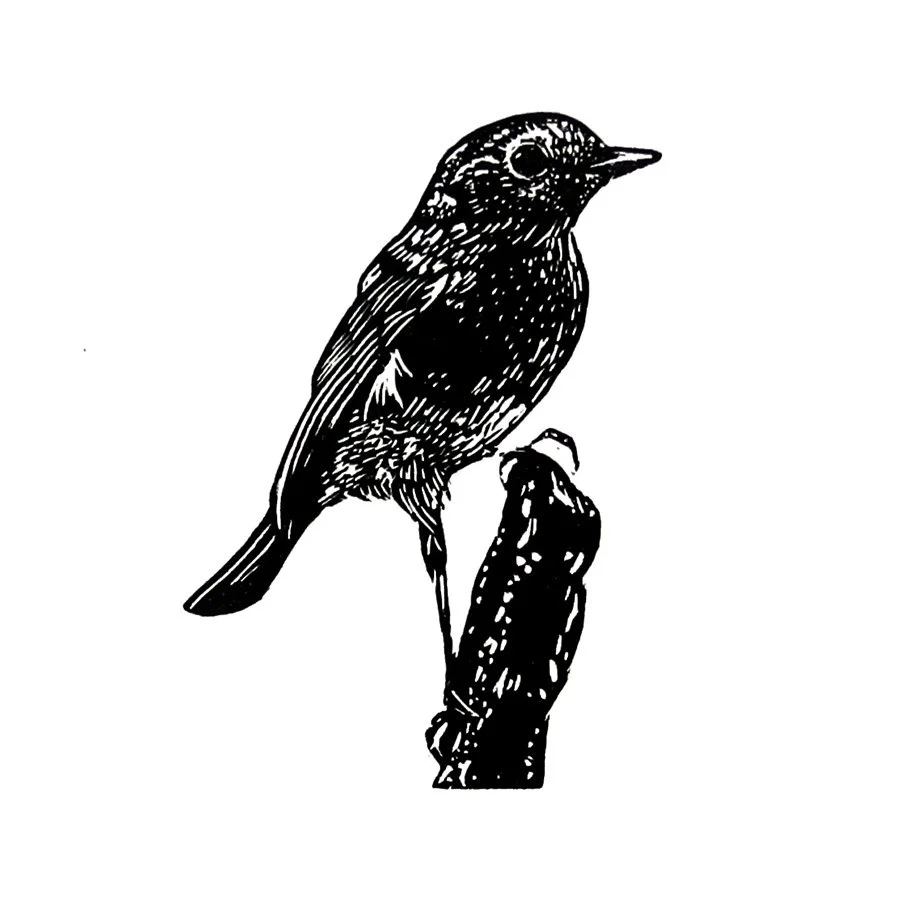 wood robin stump crop copy edit.jpg