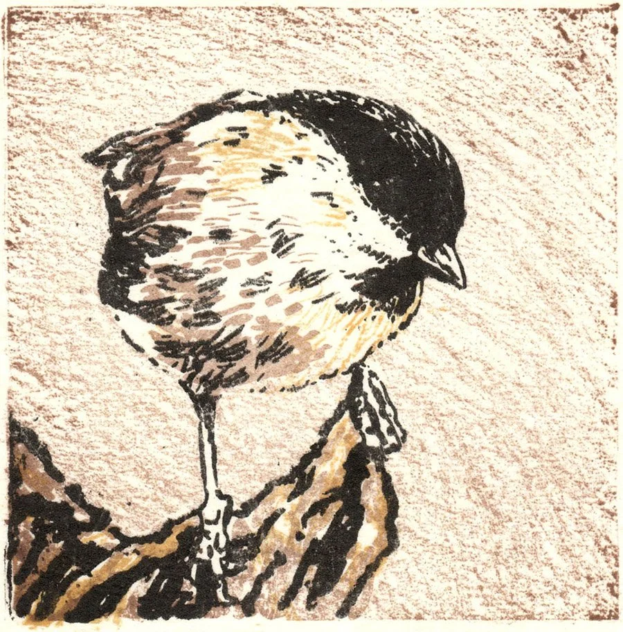 fiona-hamilton-marsh-tit-lithographic-print copy2.jpg