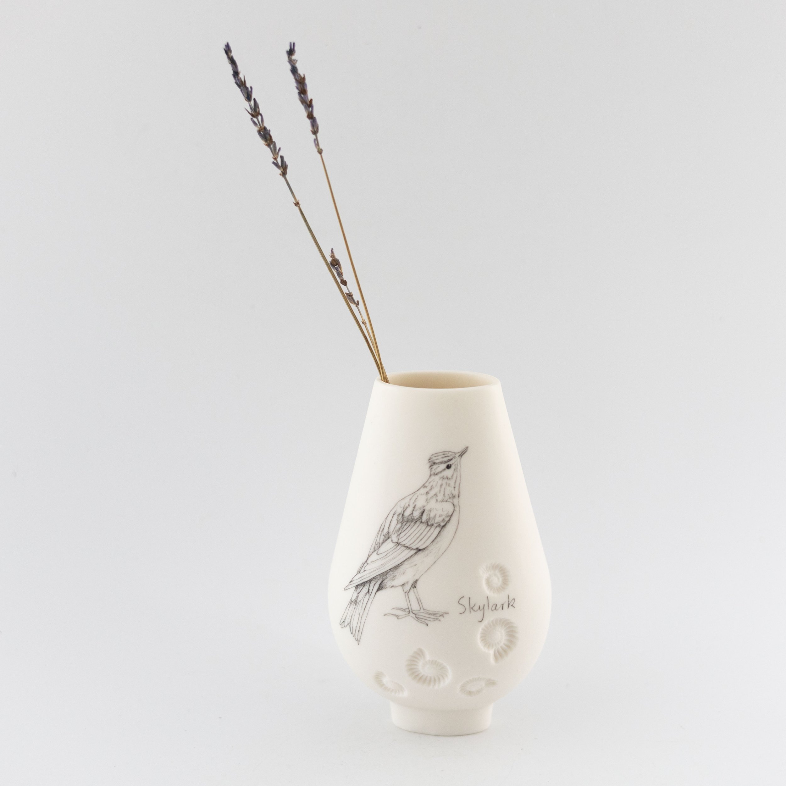 Jean_White_ Jan_26_32.jpg