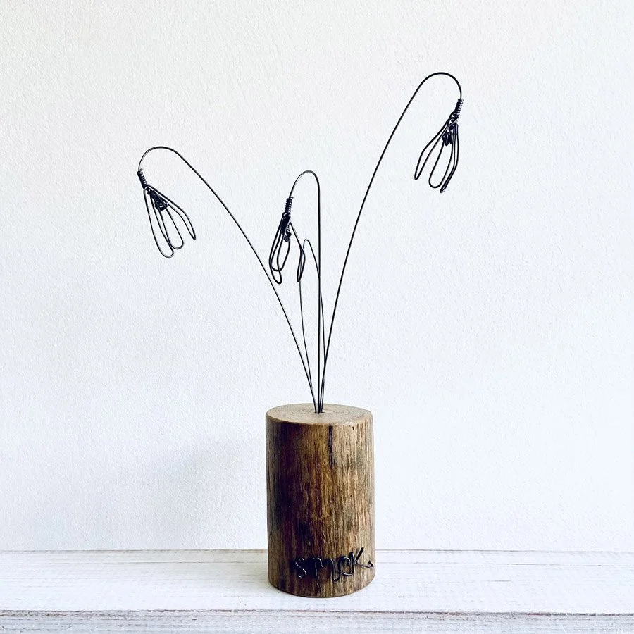 Snowdrops copy.jpg