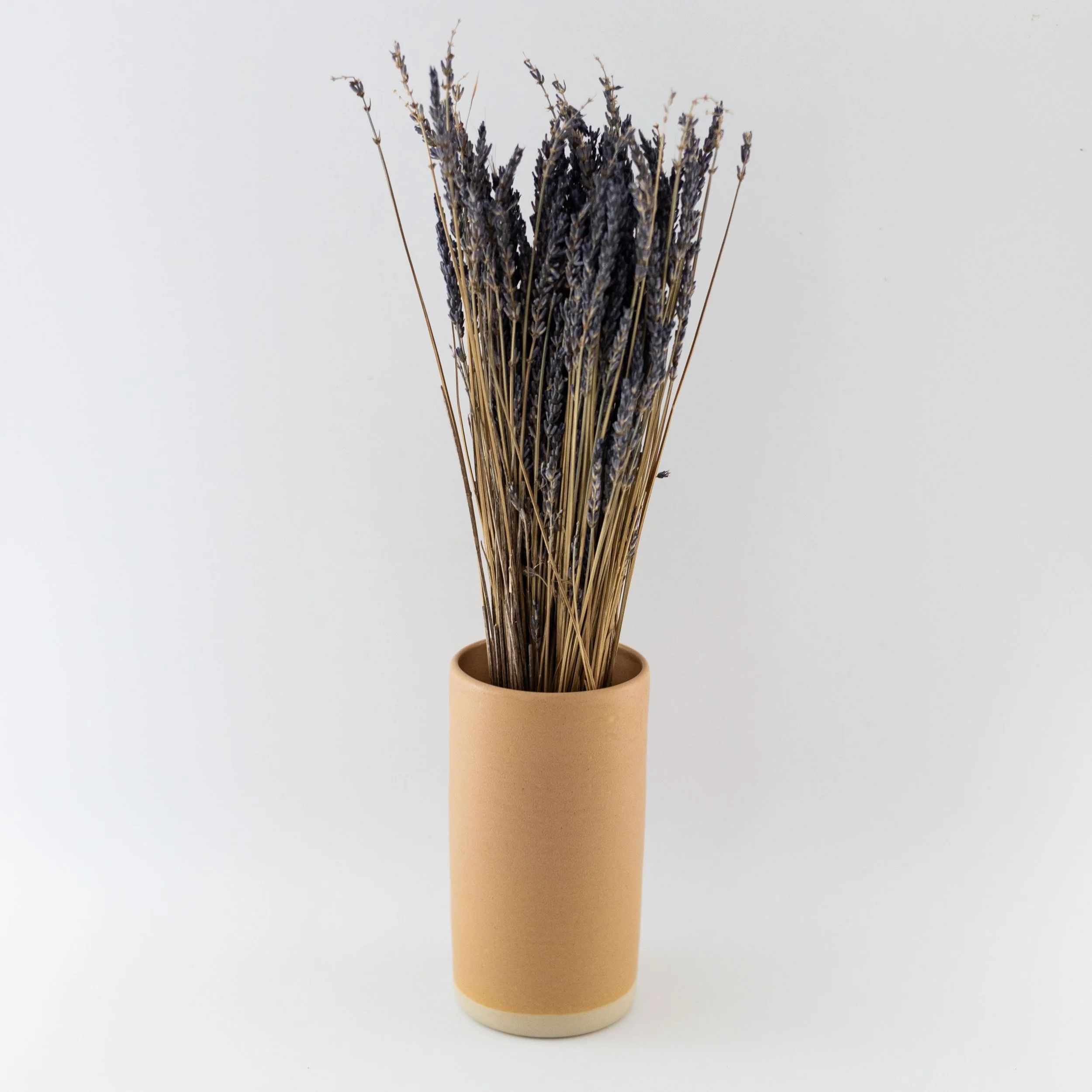 Medium Vase, Sand by Katharine Gray