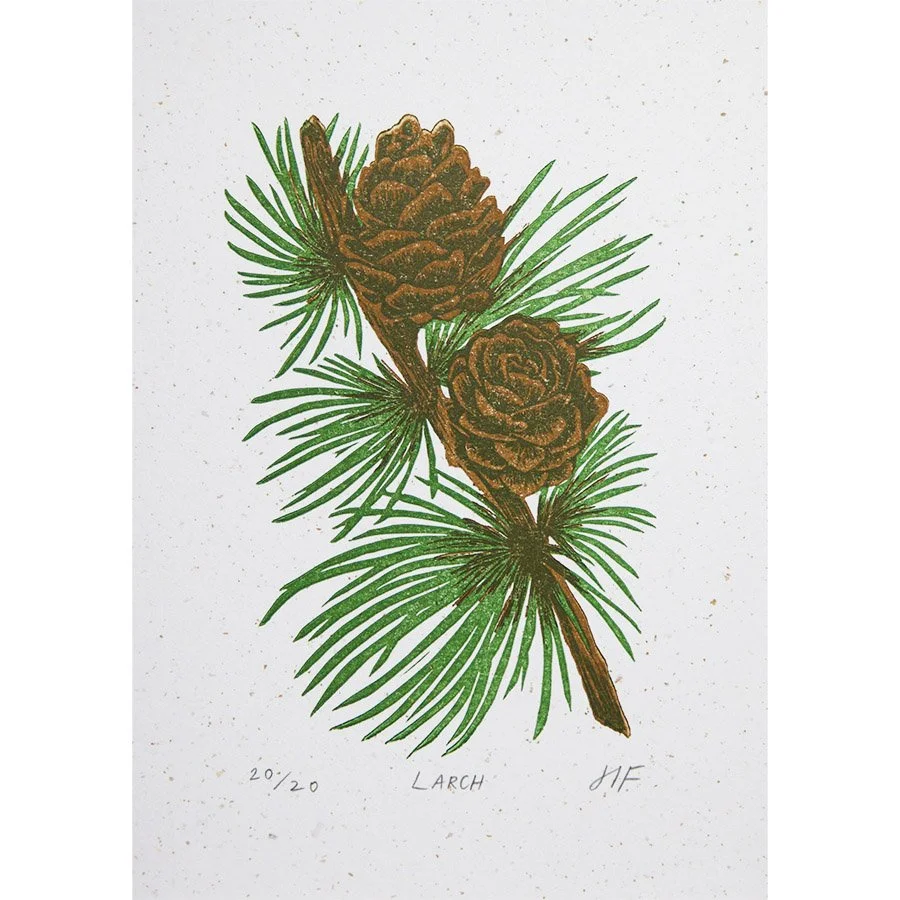 Hannah-Farthing-Larch-Linocut-01 copy_edit.jpg