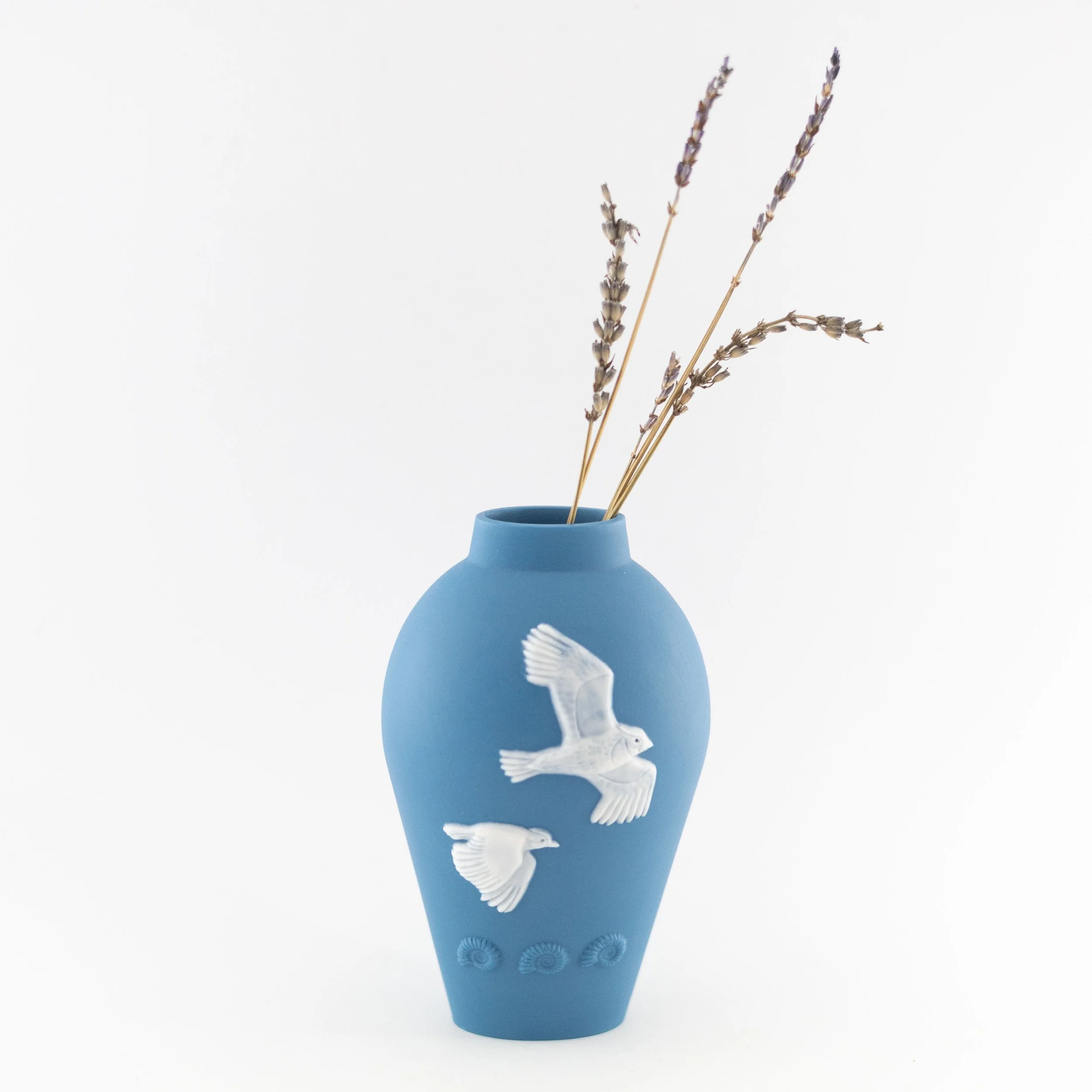 Jean_White_ Jan_26_80.jpg