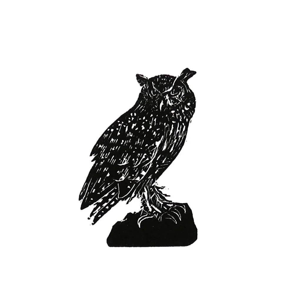 wood owl crop_web.jpg