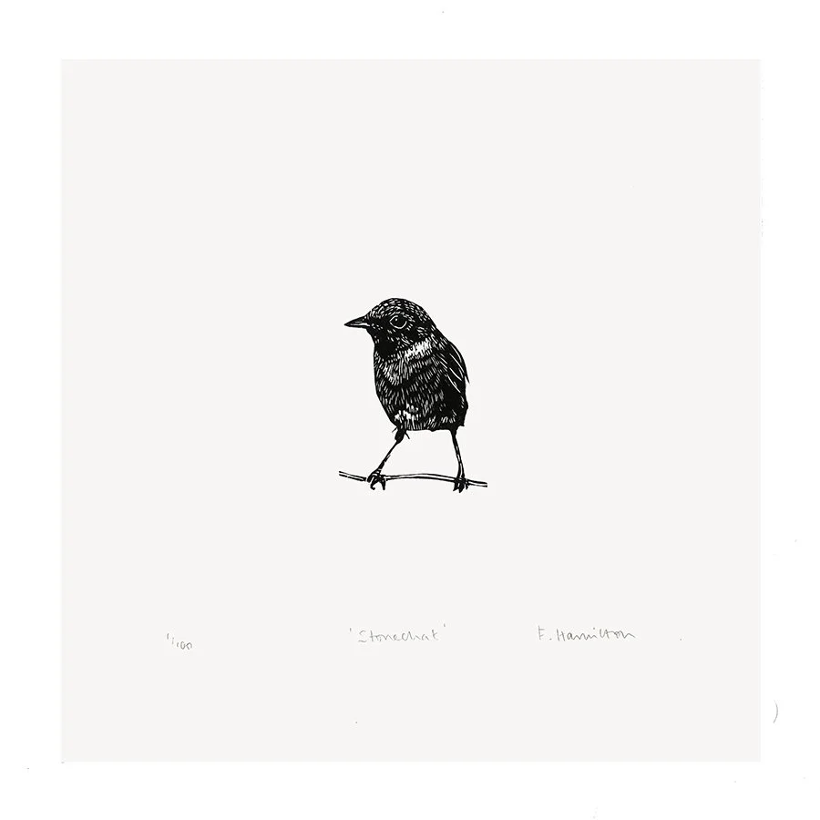 wood stonechat flat copy.jpg