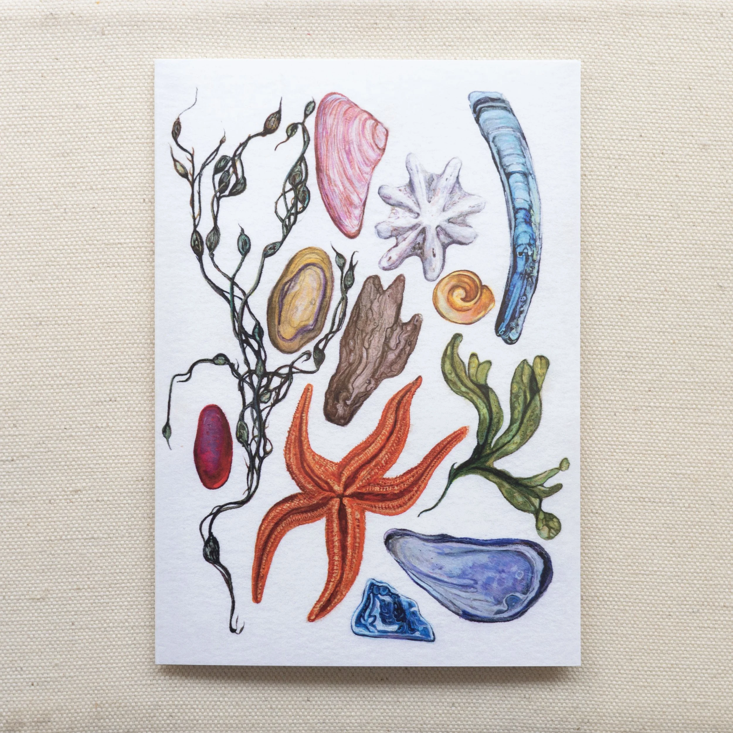 Kite trust Charity Card by Amealia Wharmby