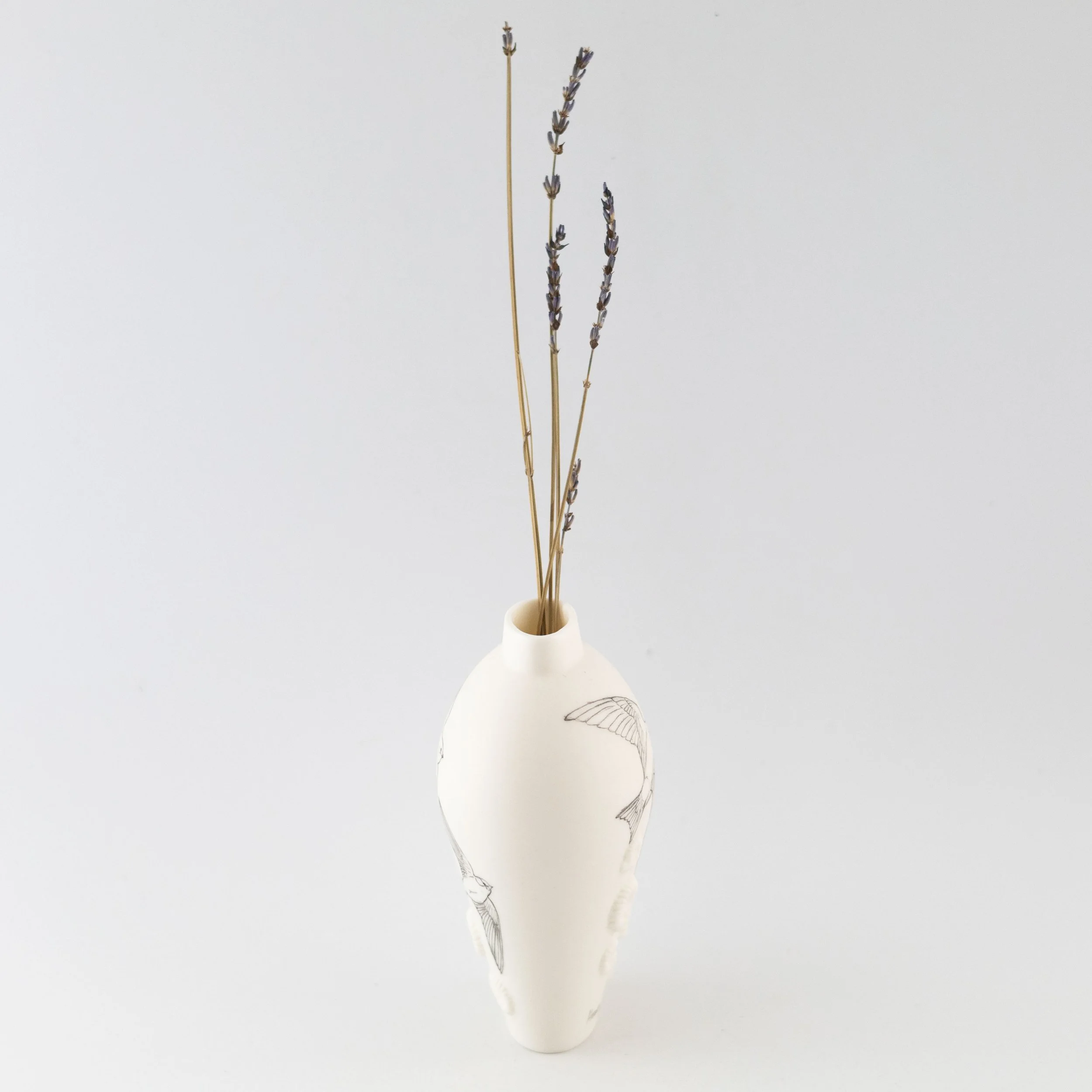 Jean_White_ Jan_26_18.jpg