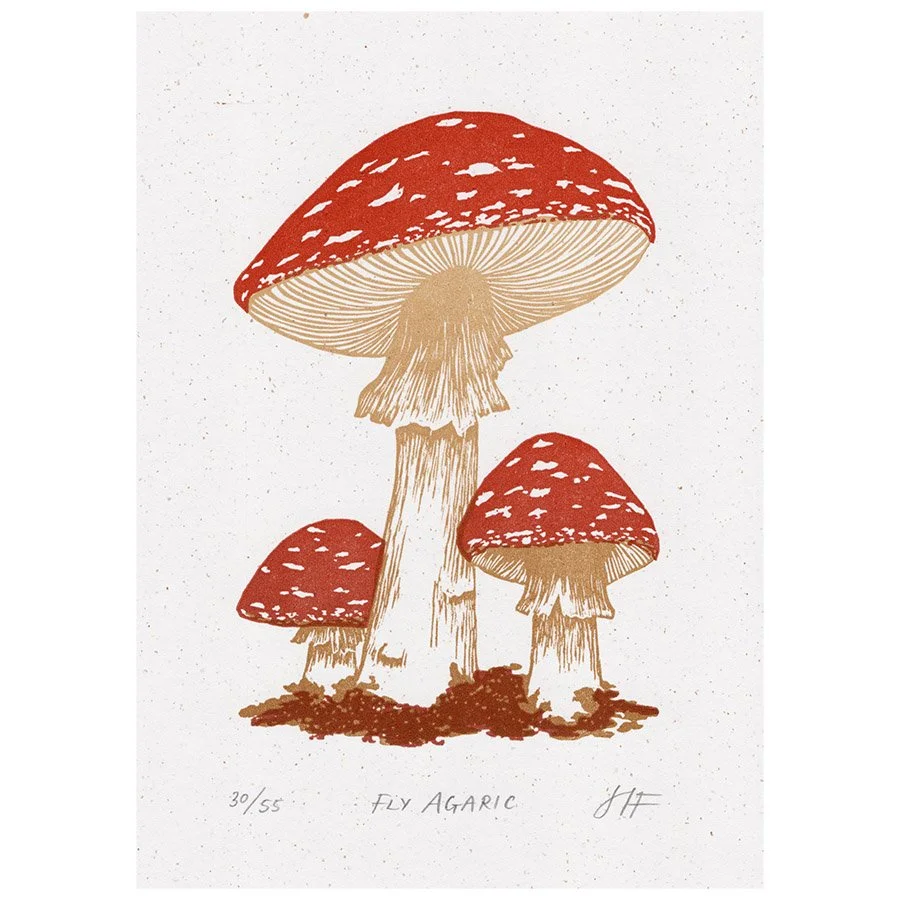 Fly Agaric copy2.jpg