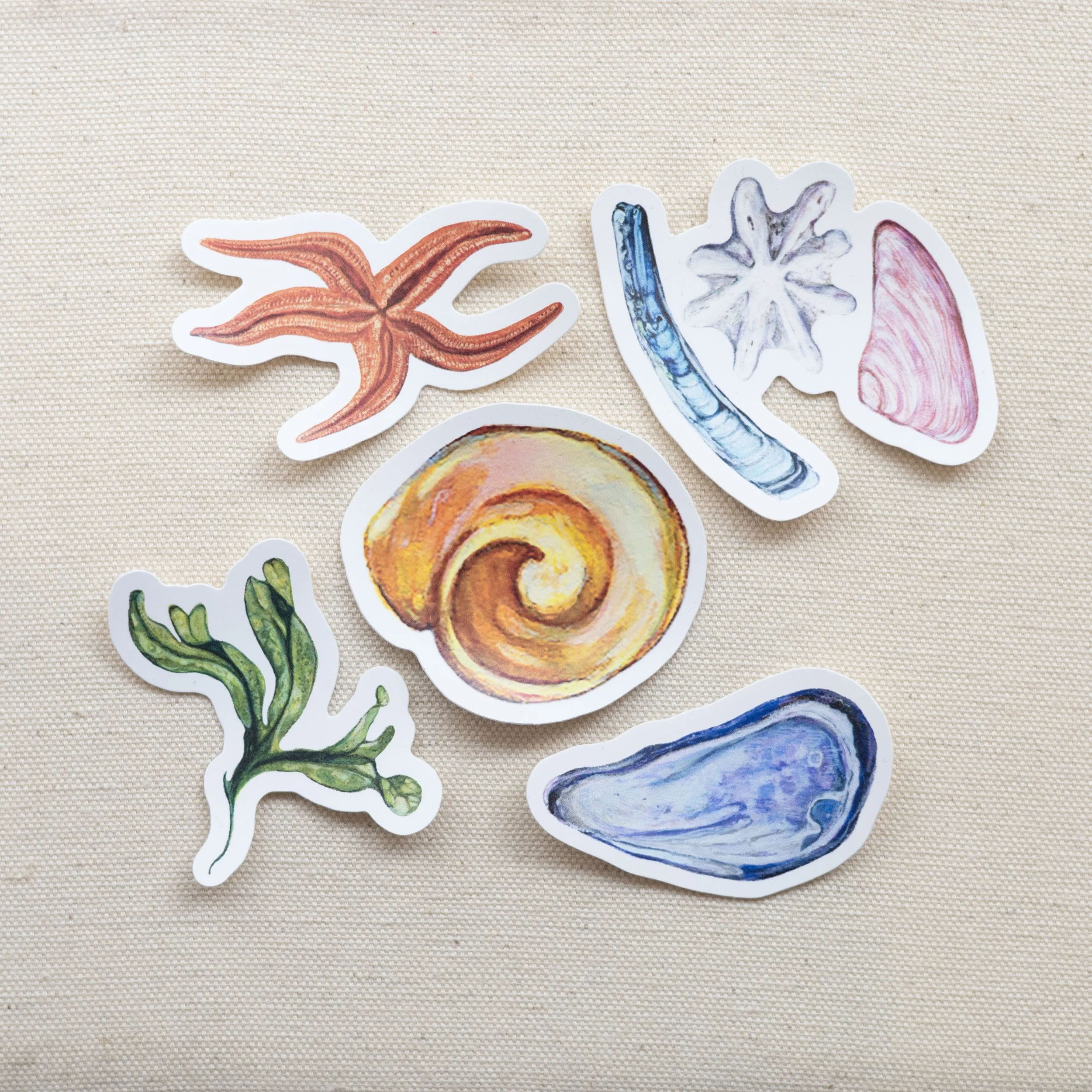 Kite trust Charity Stickers by Amealia Wharmby