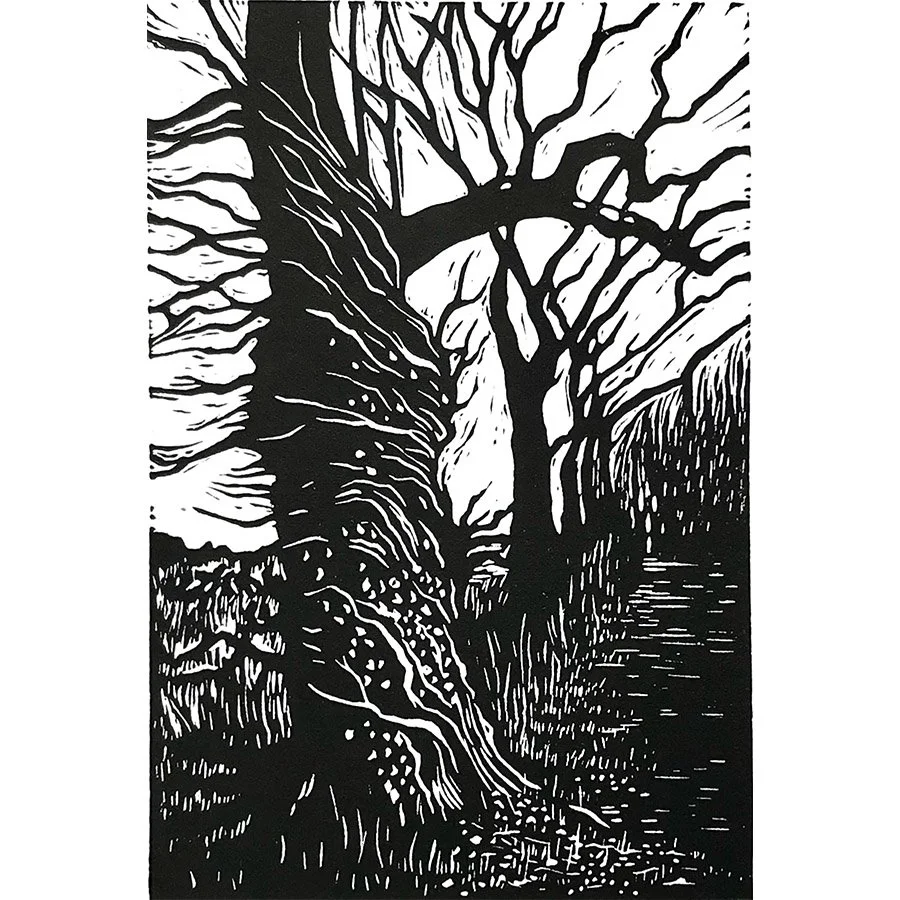 Winter Walk by Beth Knight