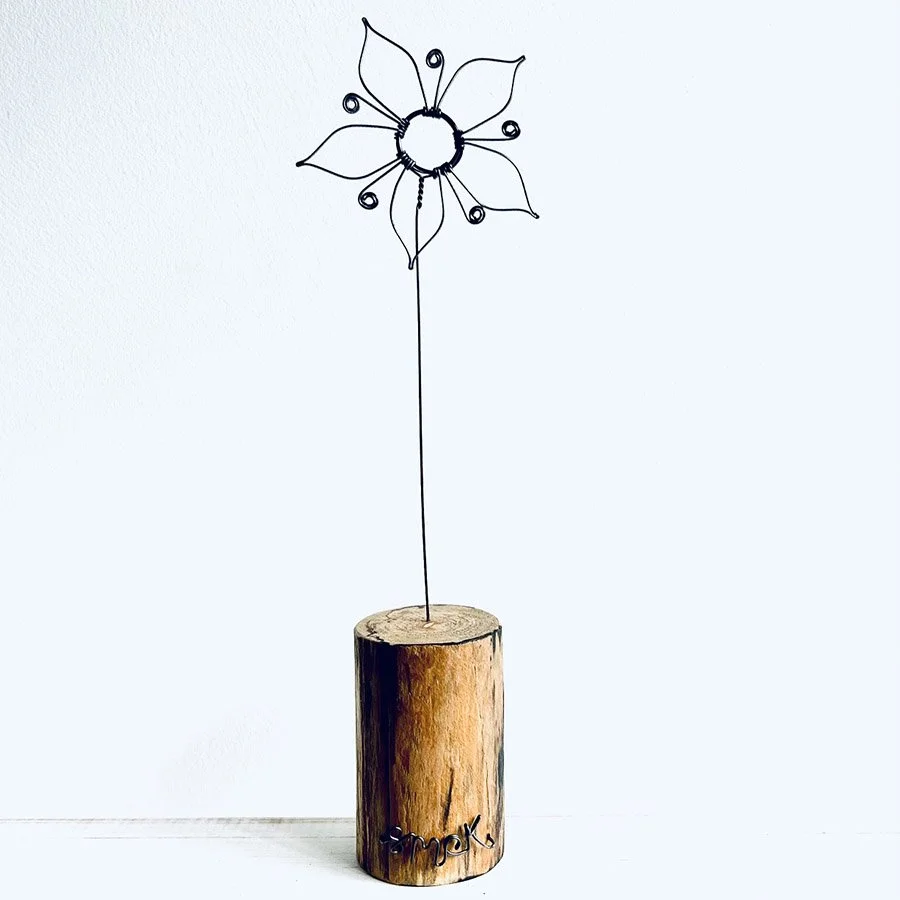 Love-in-a-mist copy.jpg