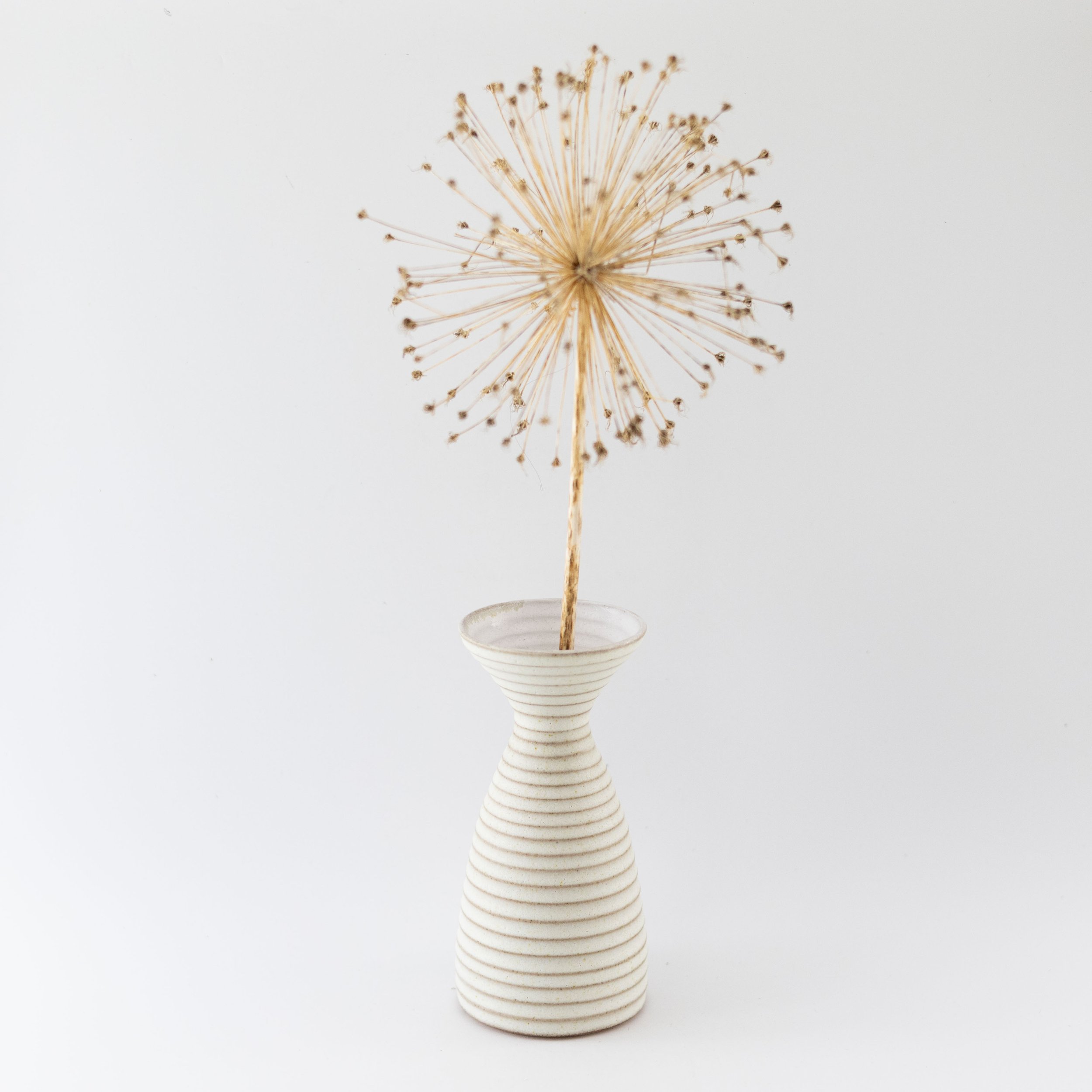 K_ceramics_Aug_26_AM_52.jpg