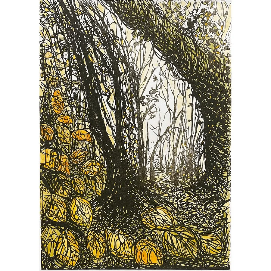 Sunlight Patterns by Beth Knight