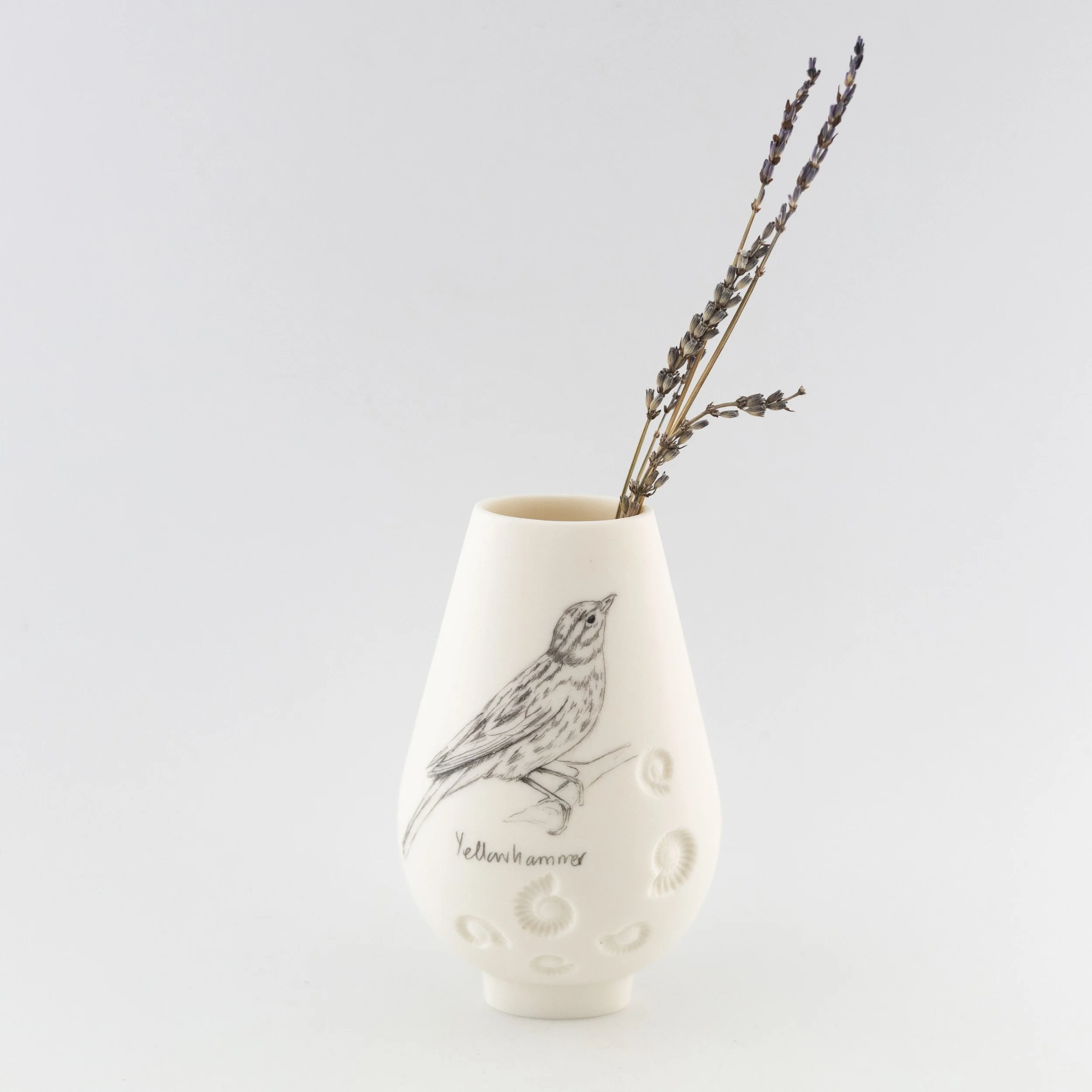 Jean_White_ Jan_26_35.jpg