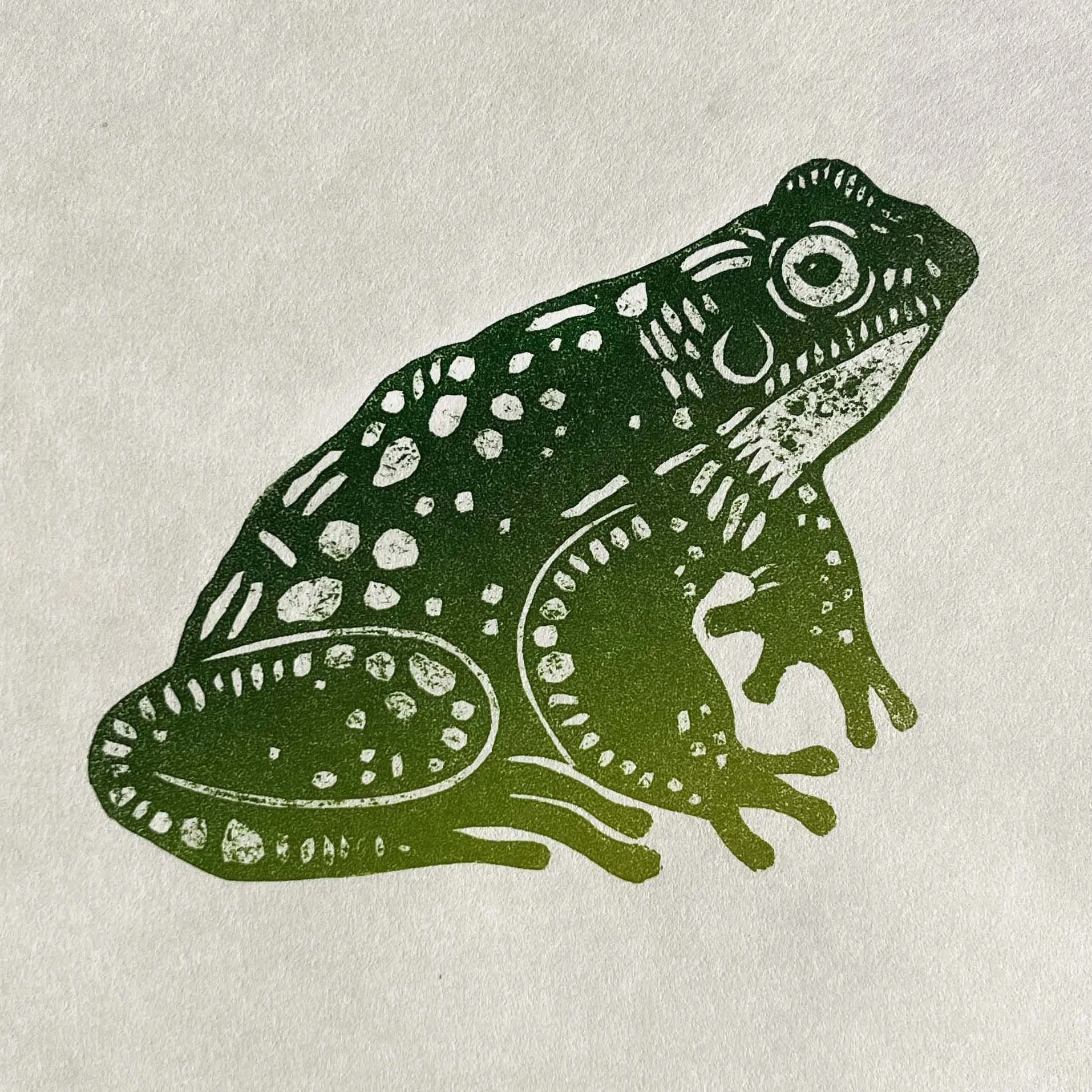 frog 1 (web) copy 2.jpg