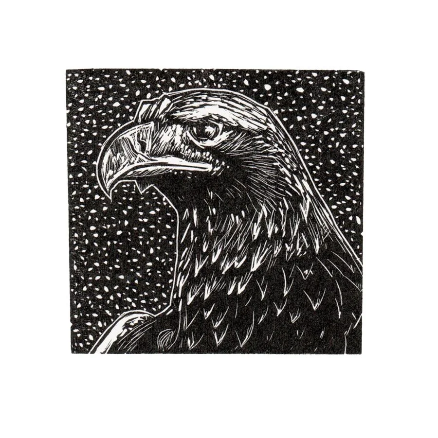 Eagle by Fiona Hamilton