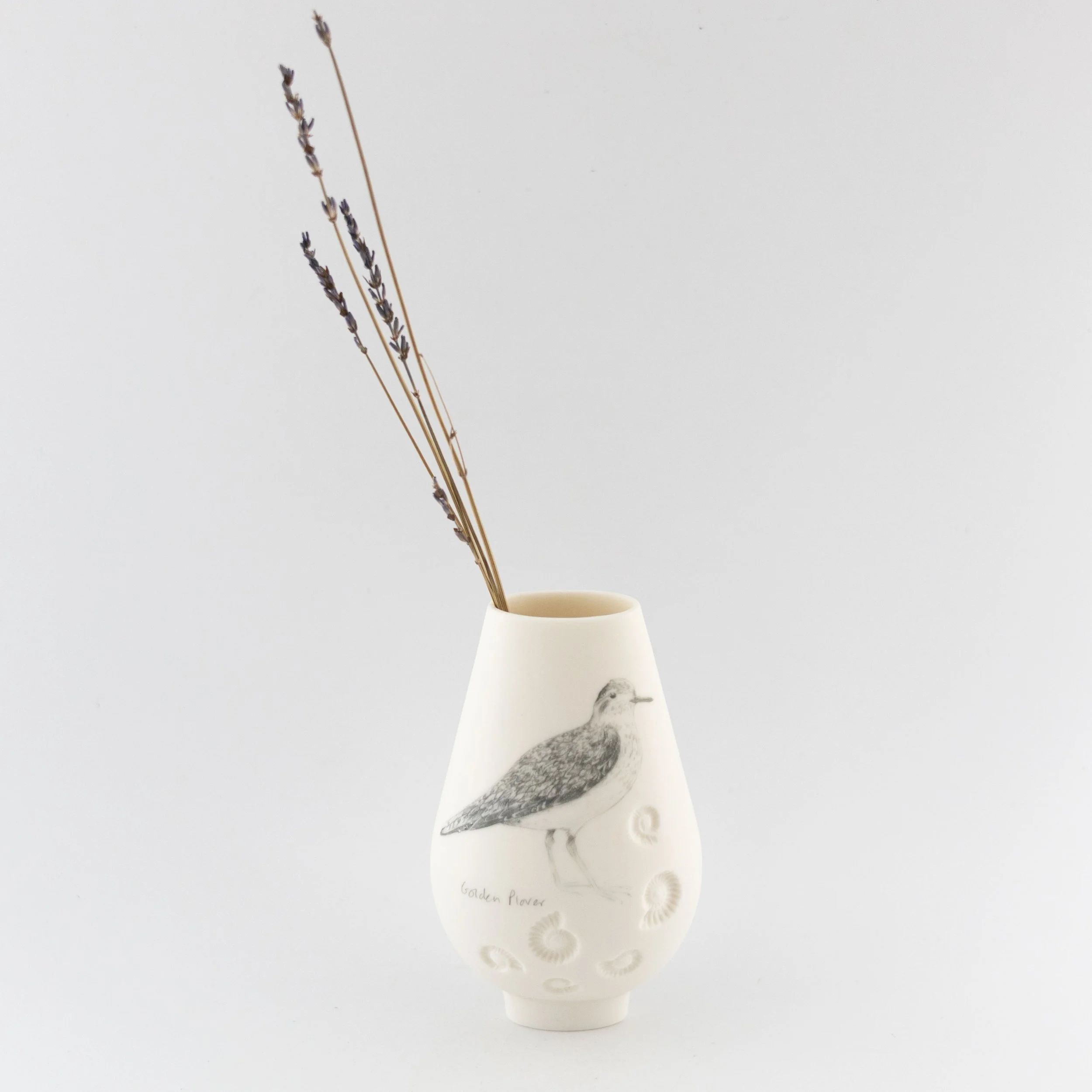 Jean_White_ Jan_26_27.jpg