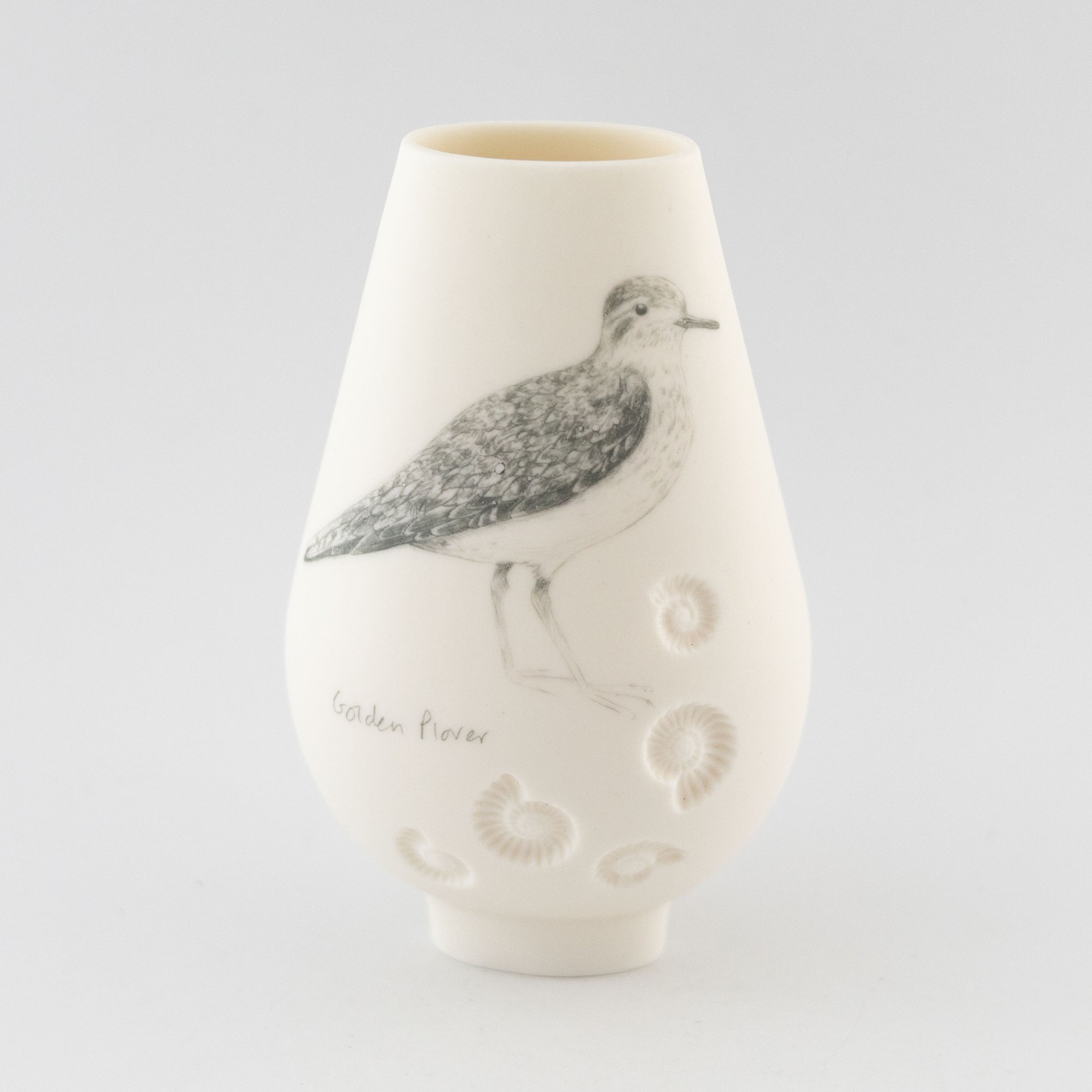 Jean_White_ Jan_26_24.jpg