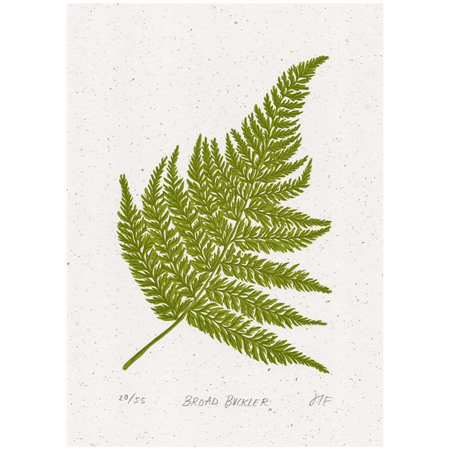 Broad Buckler copy2.jpg