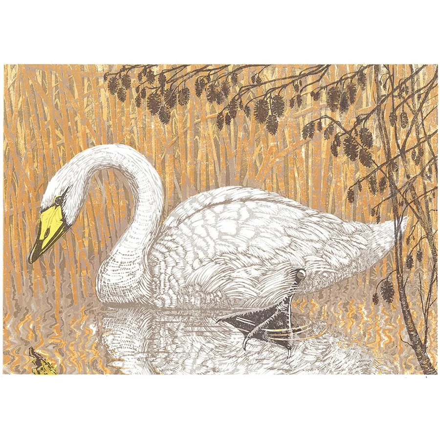 Swan on a Golden Pond by Paula Boyd-Barrett
