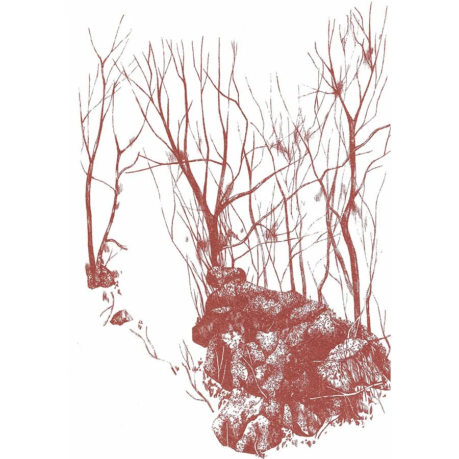 bronze trees copy 3.jpg