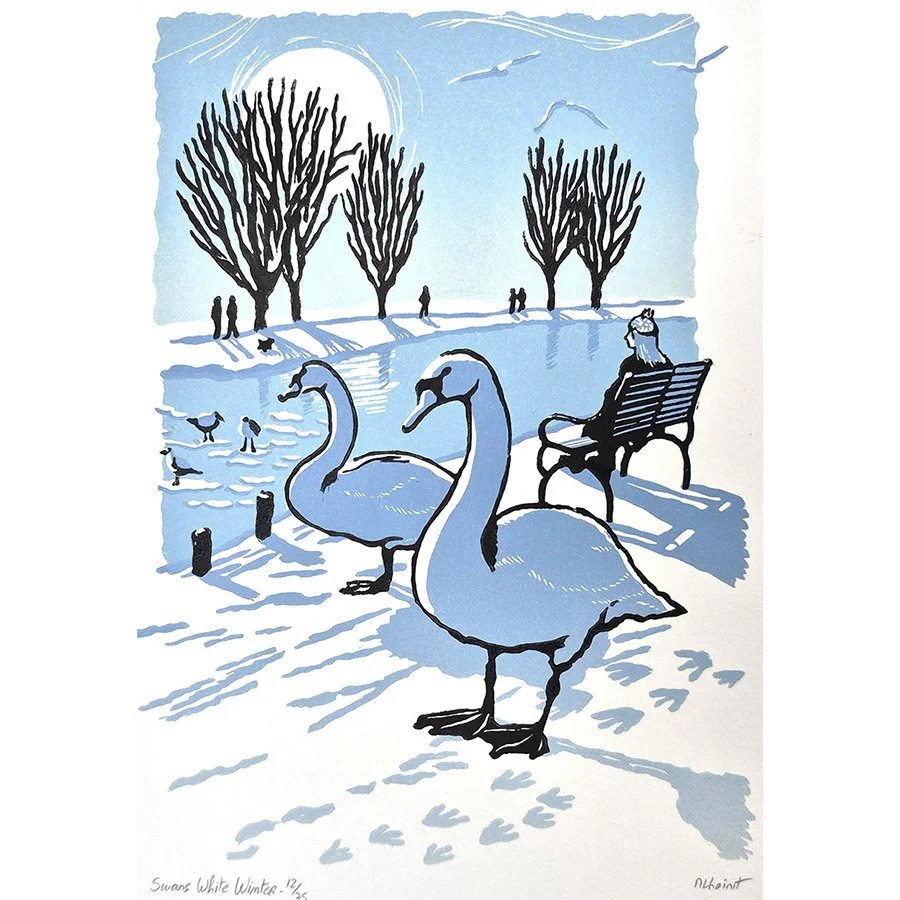 Swans-white-winter-ed12 copy.jpg