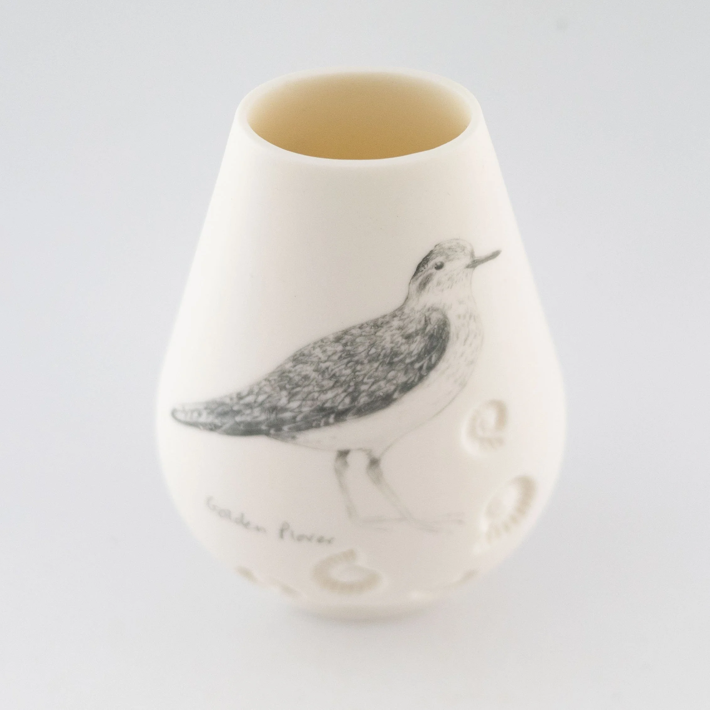 Jean_White_ Jan_26_26.jpg