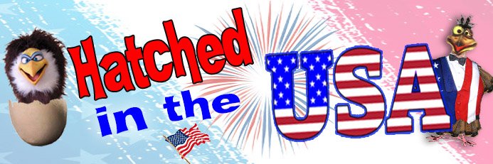 Hatched In The USA