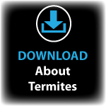termites.png