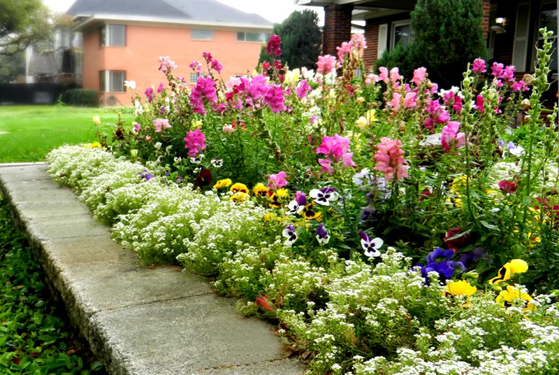 Flowerbed_1.jpg
