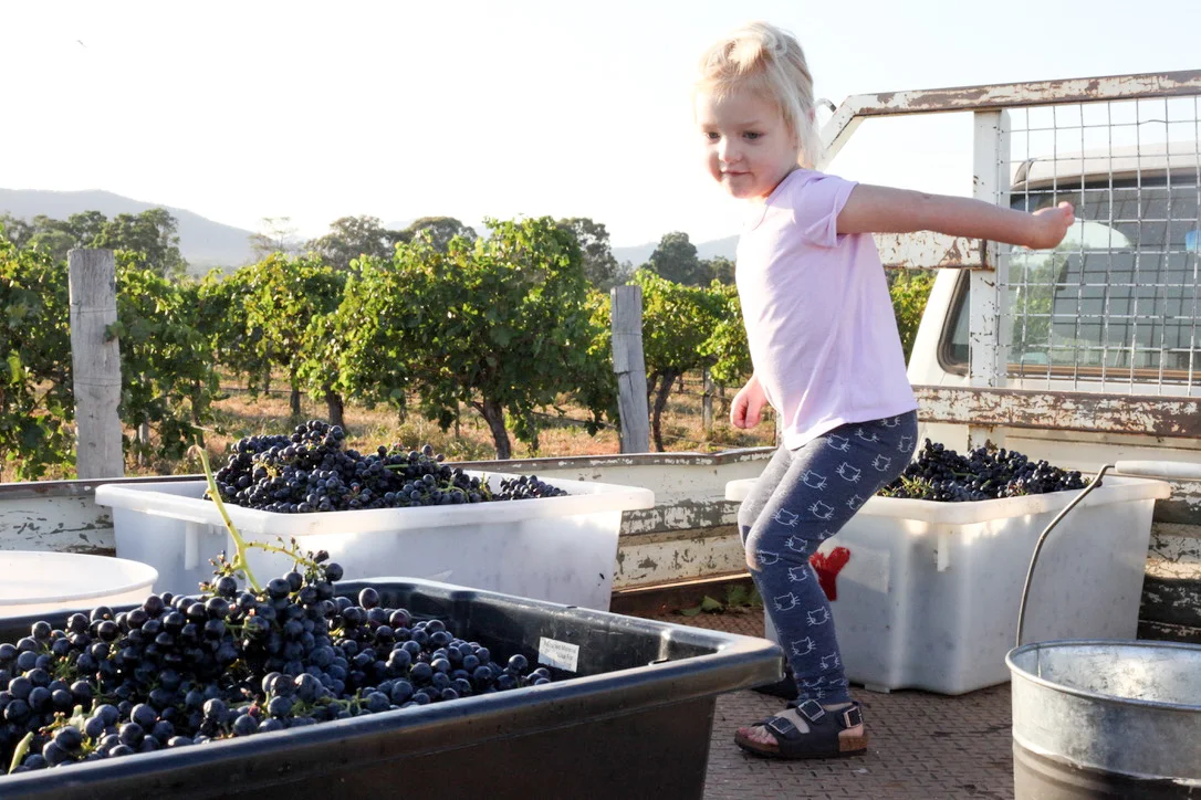 Harvest2019 (2 of 7)-2.jpg