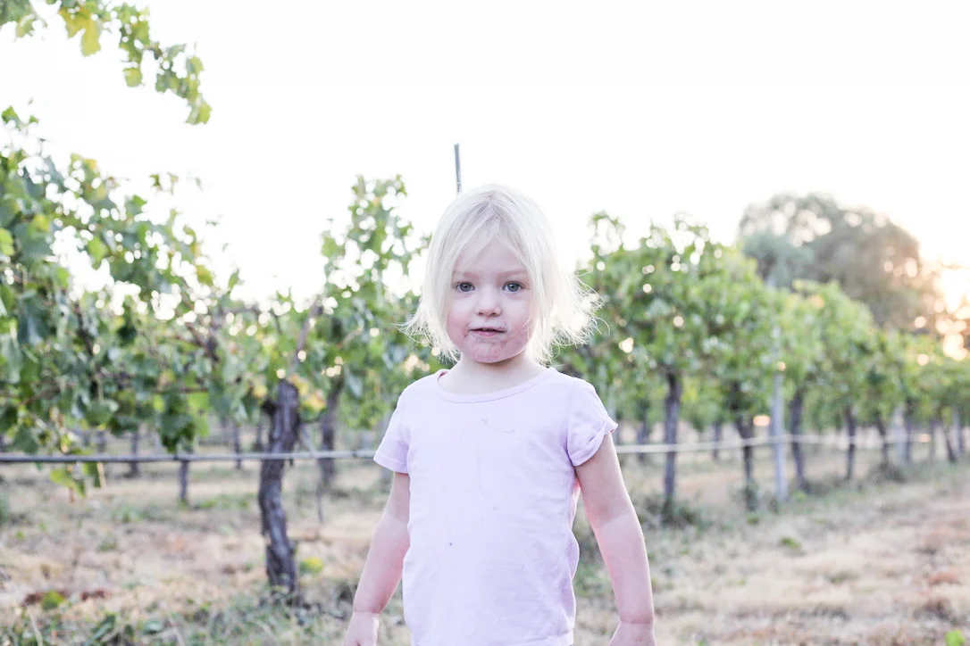 Harvest2019 (3 of 3)-2.jpg