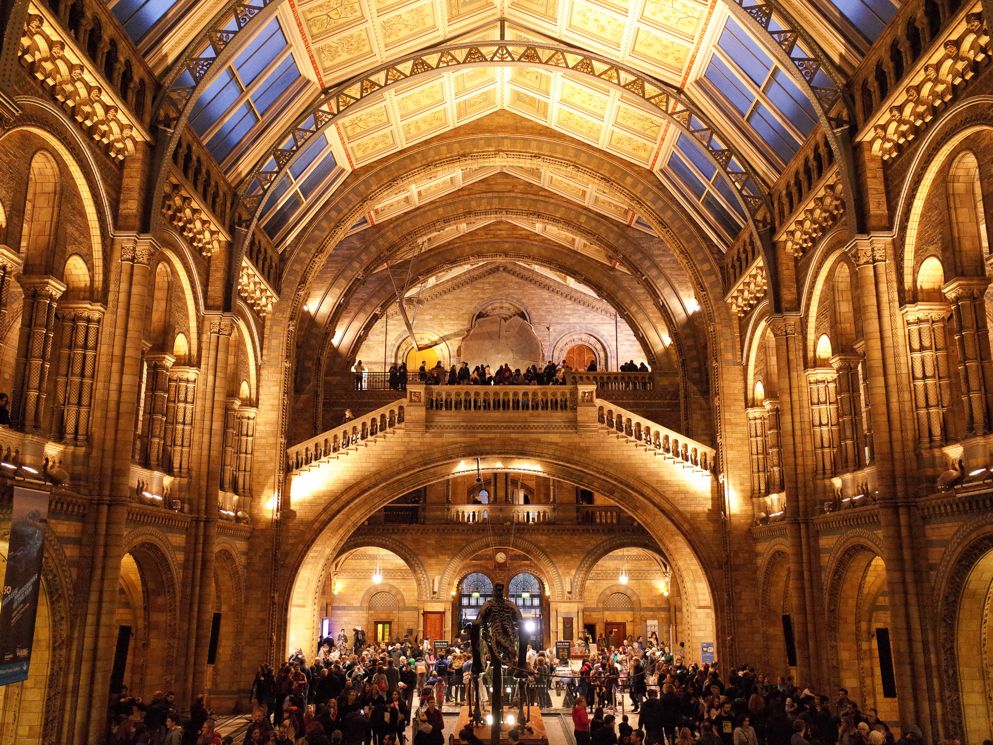 The fossilised skeleton of a Diplodocus in the grand Hintze Hall. Natural History Museum, London.