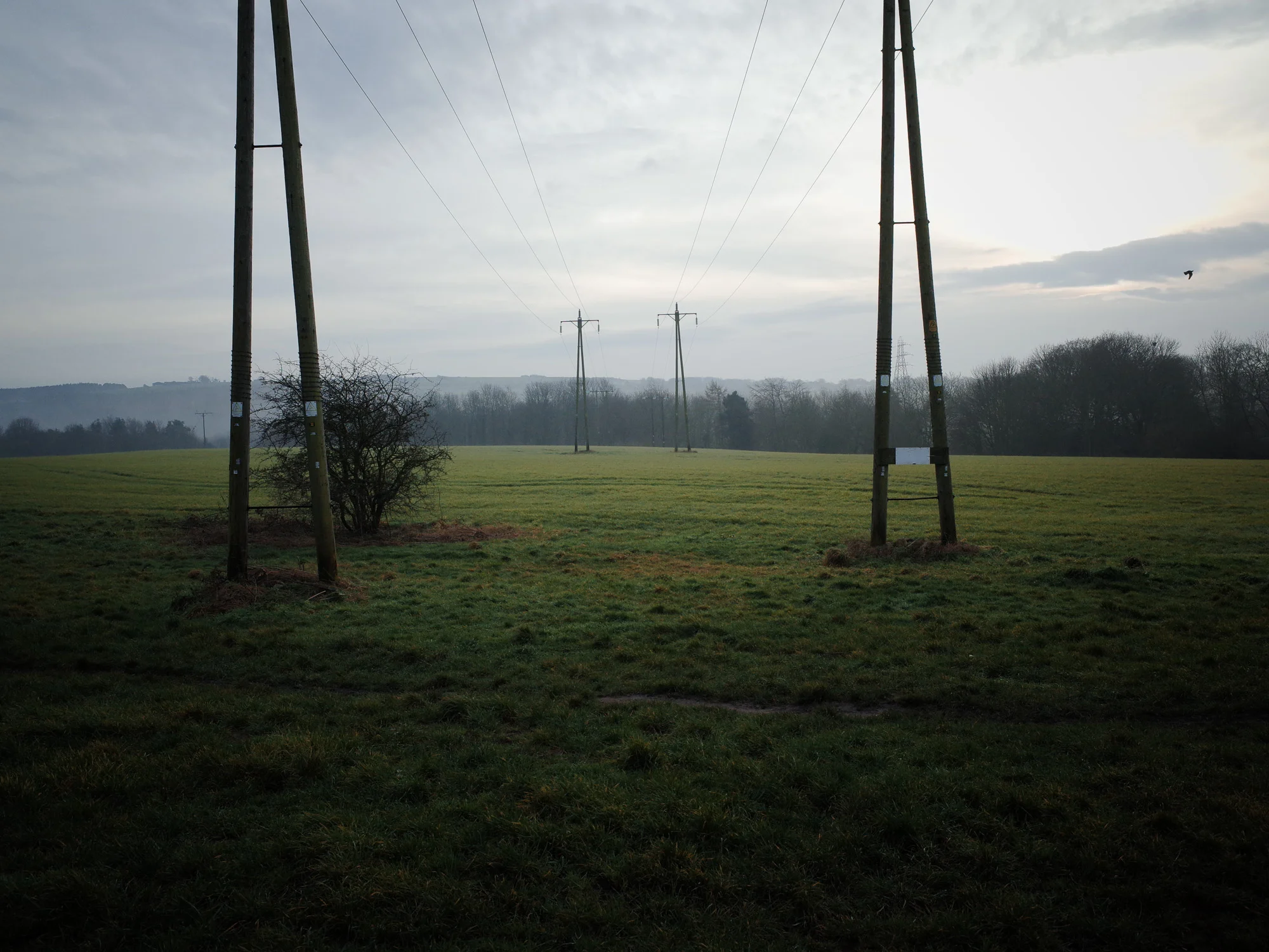 20141226-R0043851.jpg