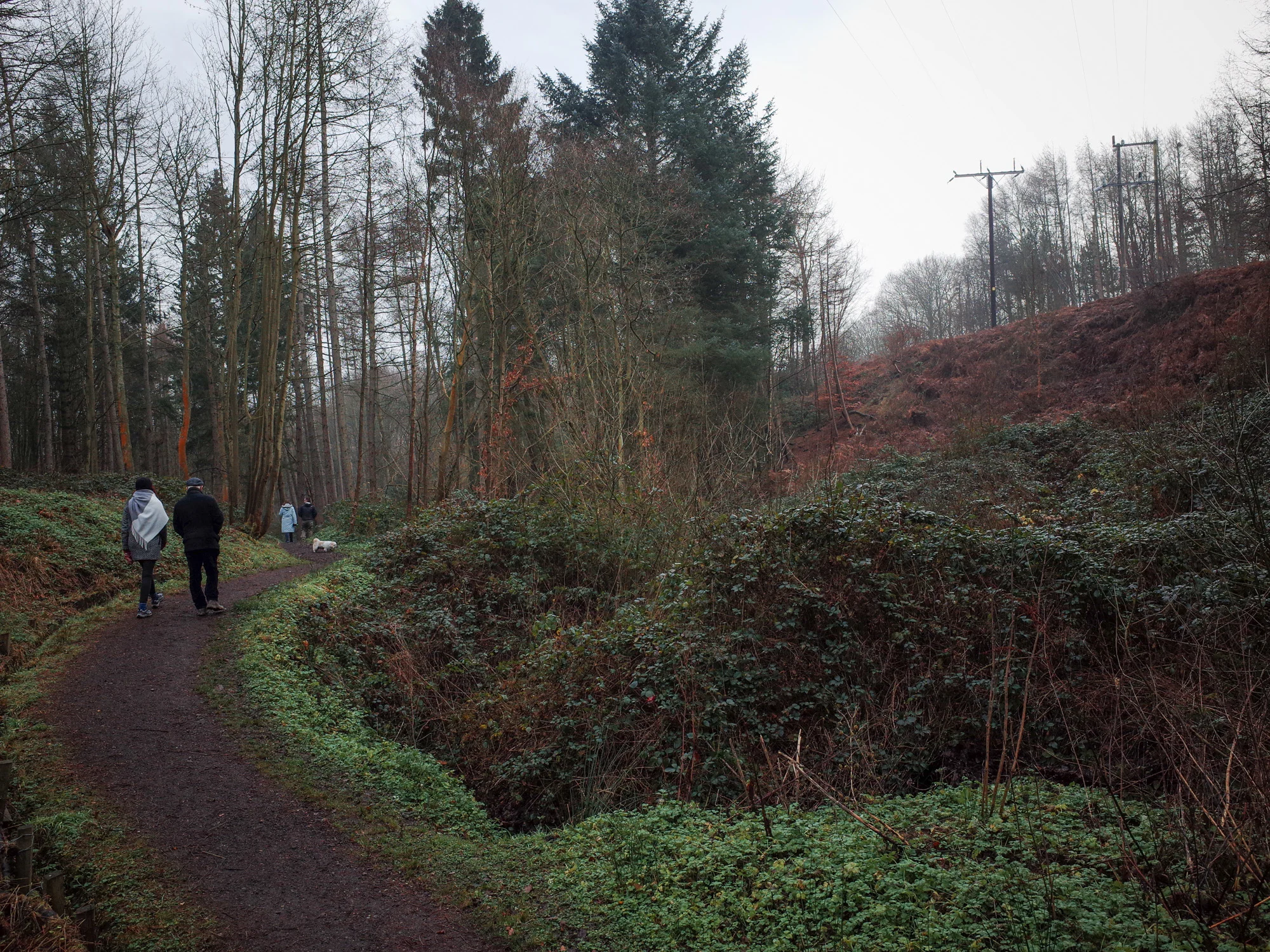 20141226-R0043865.jpg