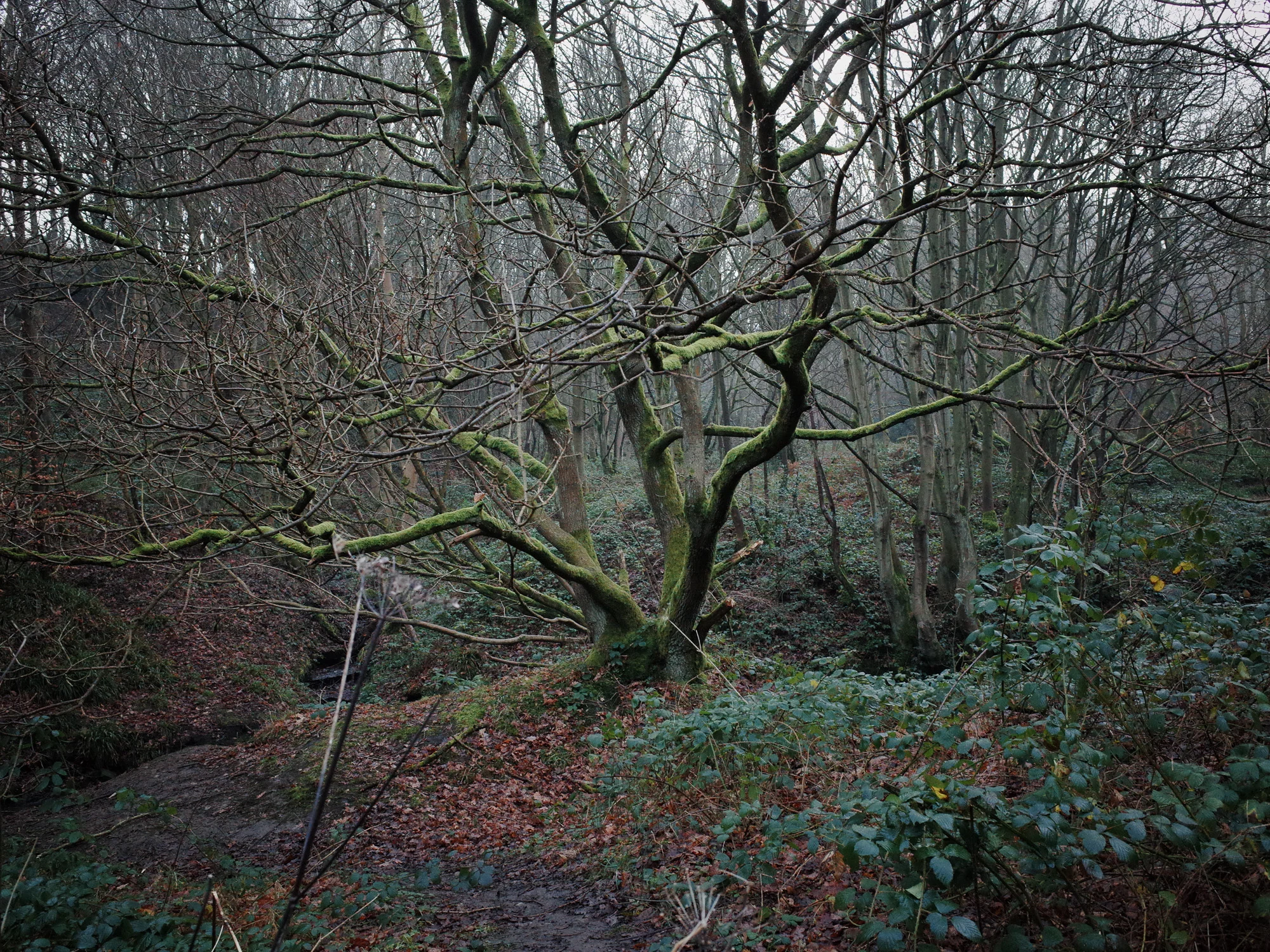 20141226-R0043884.jpg