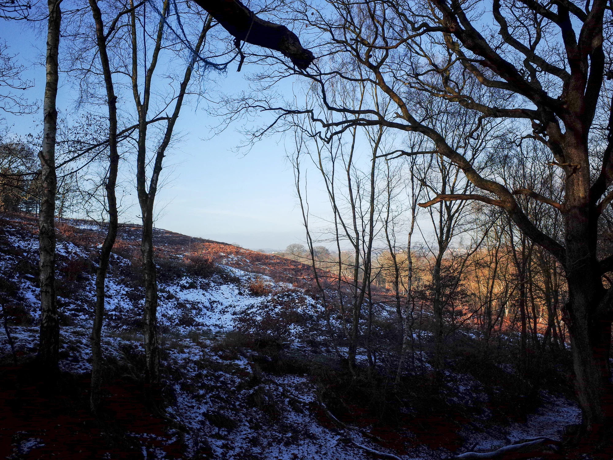 The view from the rope swing tree.