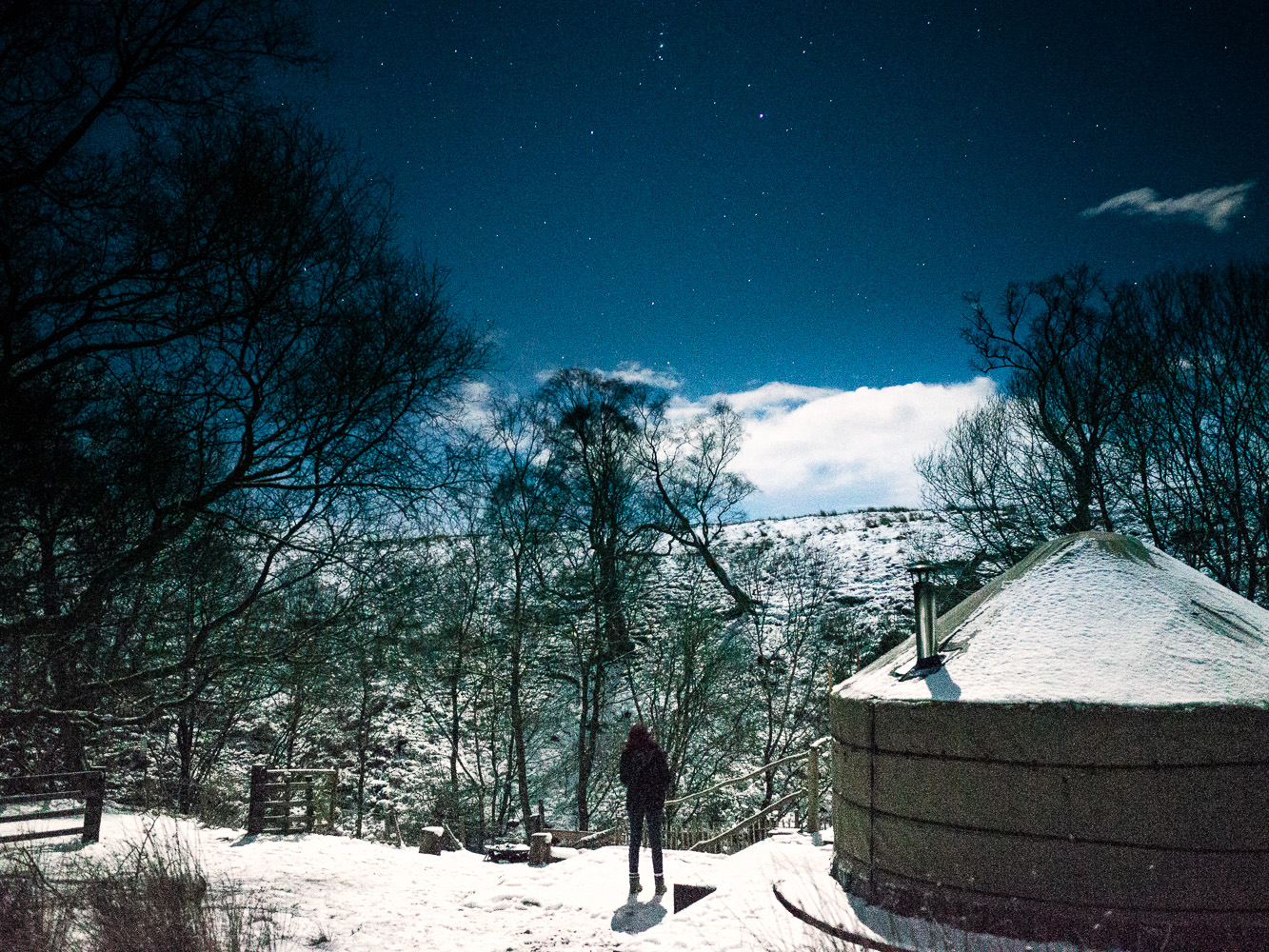 The full moon and recent snowfall created scenes that belonged in a fairytale.