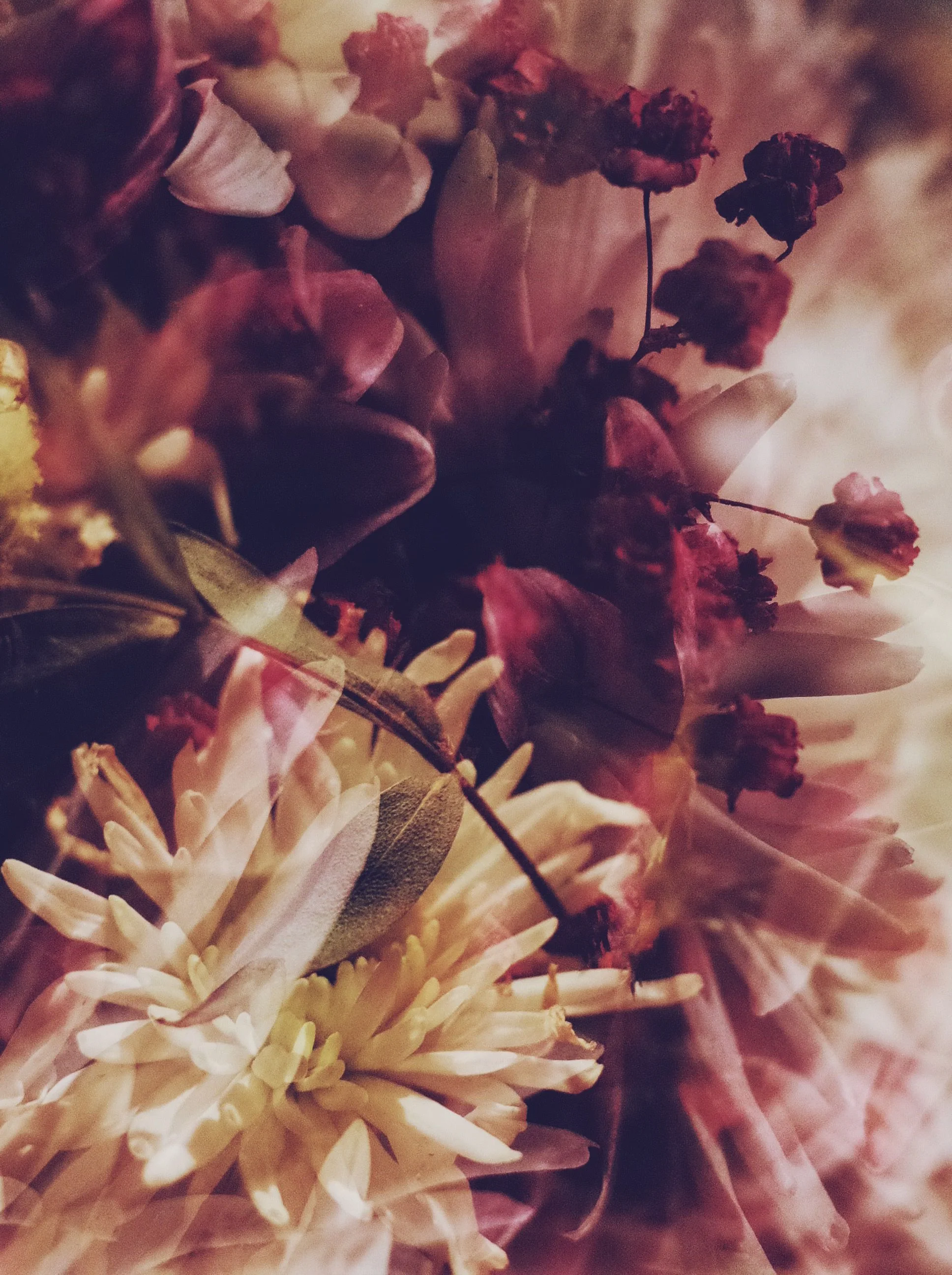 IMG_4589.JPG
